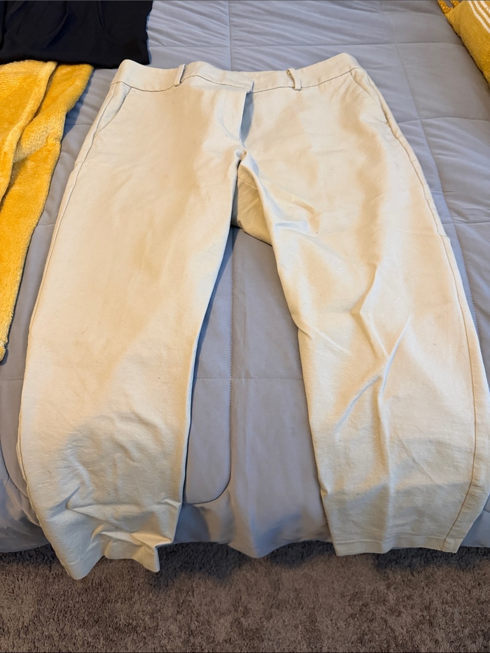Ann Taylor Factory Beige Ankle Pants – Size 12